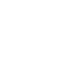 Disco (Surf Curse)