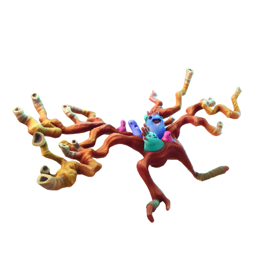 Коралл