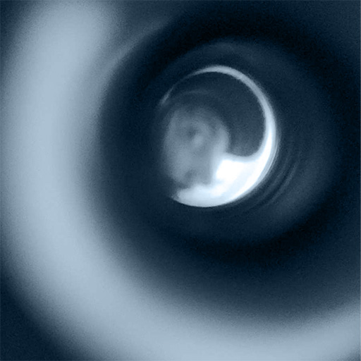 Freakin' Out
