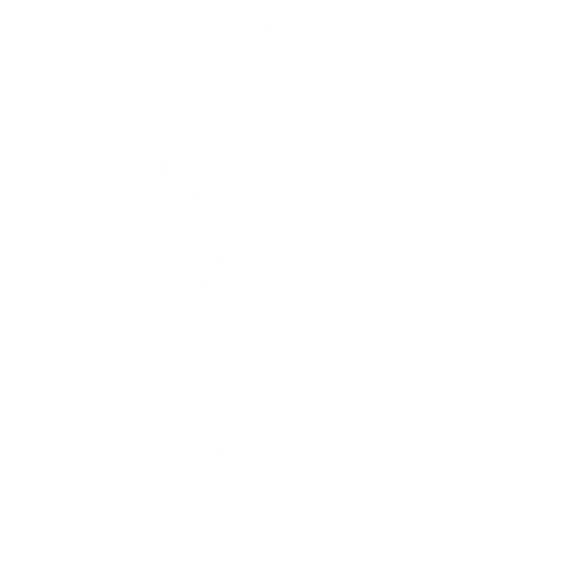 Стрелок с Дикого Запада