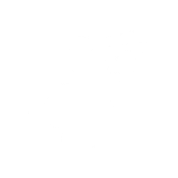 Главный приз