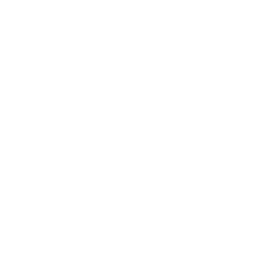 Походка Снупа