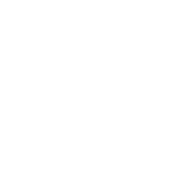 Думы проигравшего