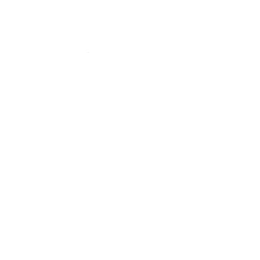 Танец Ninja