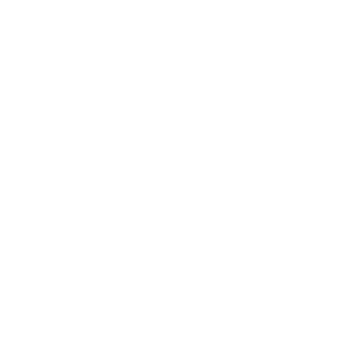 Шахматный поединок