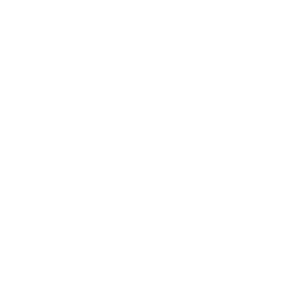 Bizcochito